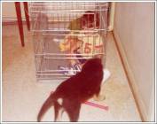 Click for large version